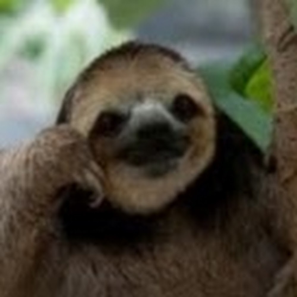 Meet your Posher, Shoshana